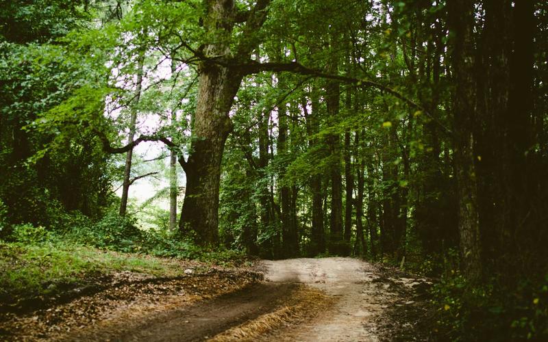 超详细CAD快捷键壁纸 | 新手问答+高频问题 6594-创新研习社