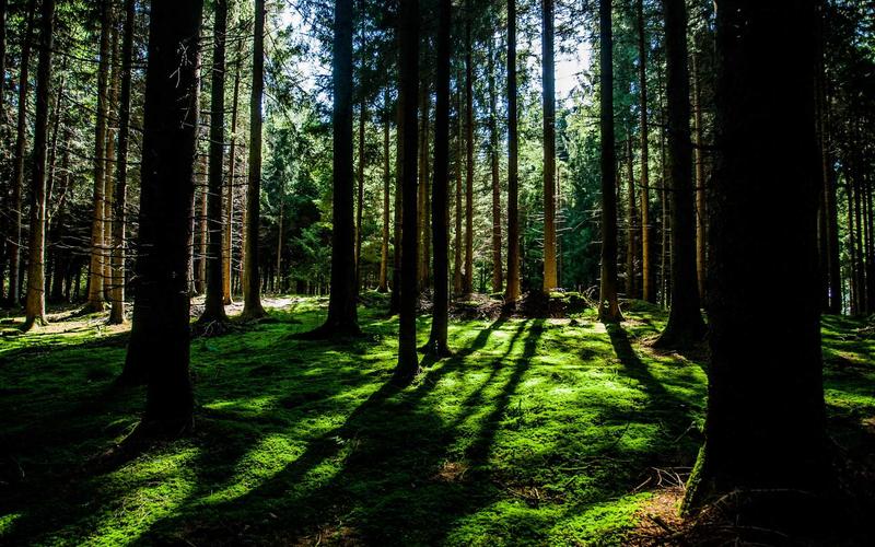 干货分享游戏加速器VIP | 素材收集+高效整理 1393-创新研习社