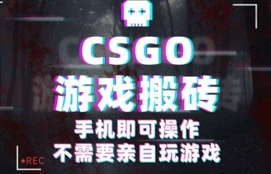 CSGO游戏挂G捡漏，单日扫货5张+，年底小高峰上车可吃肉，手机即可操作，兼职副业创业网创【揭秘】-创新研习社