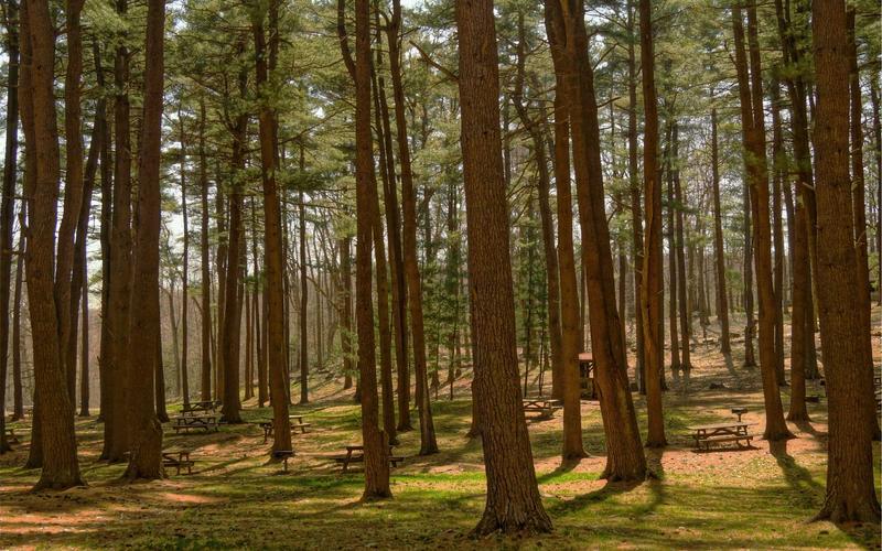 从零开始75个顶部侧边导航栏模板 | 入门基础+核心步骤 2088-创新研习社