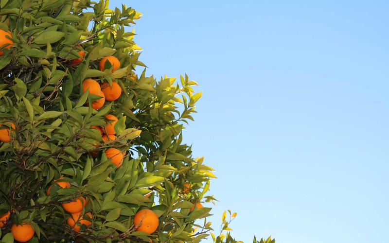 小白必看ps软件+教程 | 行业内幕+隐藏技巧 9772-创新研习社