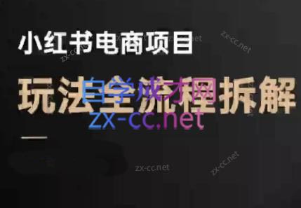 菲菲老师·小红书电商玩法(更新9月)-创新研习社