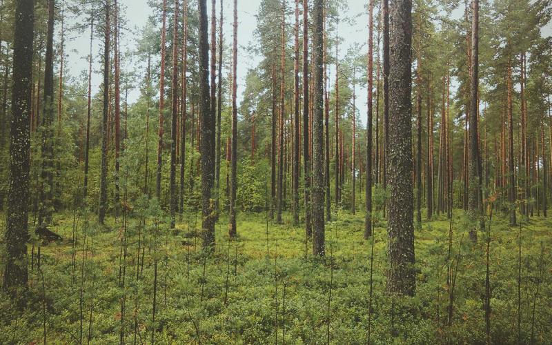 保姆级教程CAD软件+教程 | 跨平台应用+场景拓展 2520-创新研习社