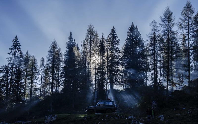 保姆级教程CAD软件+教程 | 进阶技巧+瓶颈突破 7663-创新研习社