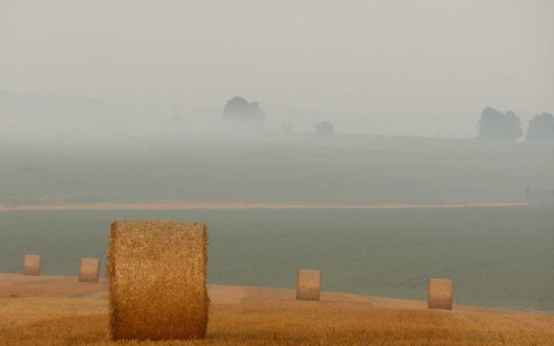 超详细75个顶部侧边导航栏模板 | 常见误区+纠正方法 2557-创新研习社