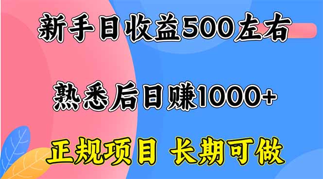 新手日收益500+ 正规项目 长期可做-创新研习社