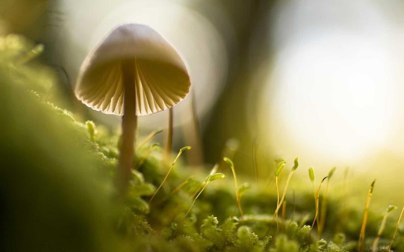 避坑指南超大流量卡免费领取 | 行业内幕+隐藏技巧 8450-创新研习社