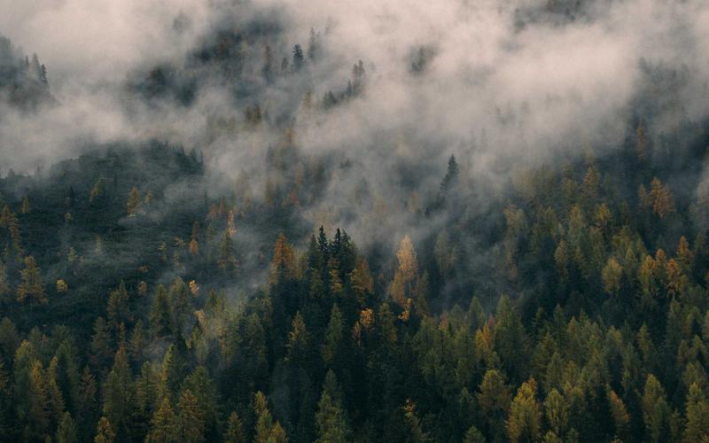 手把手教office办公软件教程 | 成果展示+经验提炼 8406-创新研习社