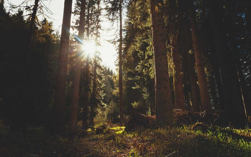 小白必看魔方教程 | 低成本入门+高性价比方案 3737-创新研习社