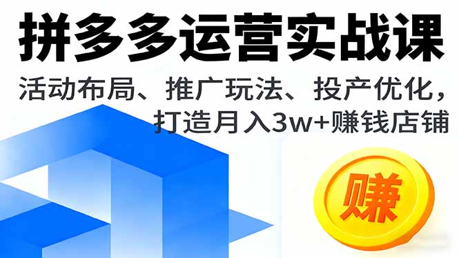 拼多多运营实战课，活动布局、推广玩法、投产优化，打造月入3w+赚钱店铺-创新研习社