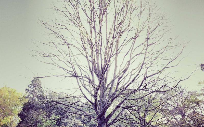 实战指南超大流量卡免费领取 | 进阶技巧+瓶颈突破 7403-创新研习社