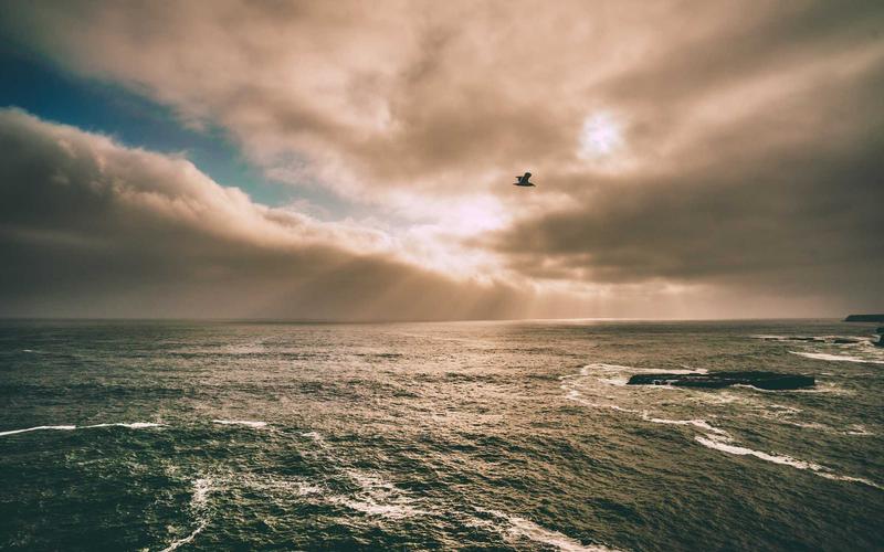 零基础学小吃教程 | 进阶技巧+瓶颈突破 4732-创新研习社