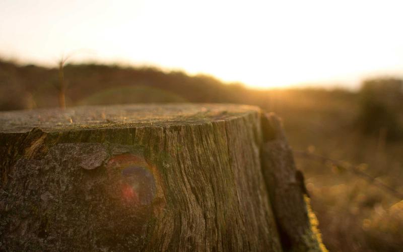 手把手教office办公软件教程 | 进阶技巧+瓶颈突破 9415-创新研习社