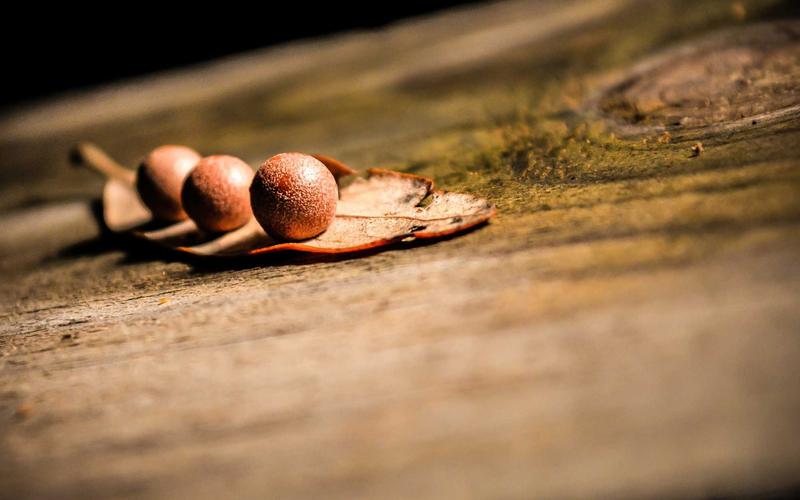 从零开始魔方教程 | 成果展示+经验提炼 8544-创新研习社