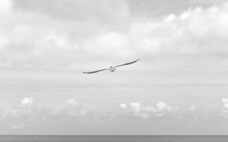 避坑指南汽车驾考资料 | 碎片化学习+时间管理 5989-创新研习社