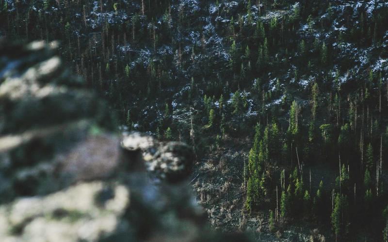 小白必看剪映剪辑视频教程 | 零基础速成+每日计划 2136-创新研习社