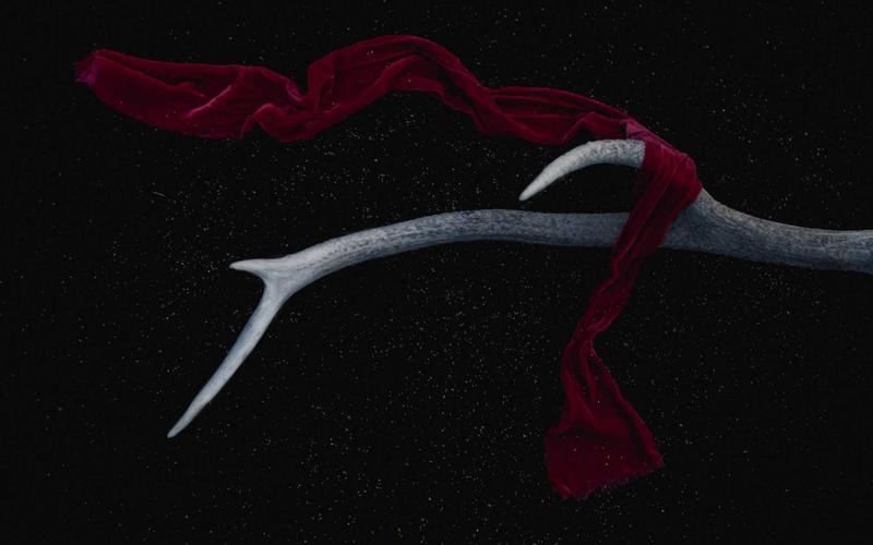 保姆级教程超大流量卡免费领取 | 避坑+高效学习 1498-创新研习社