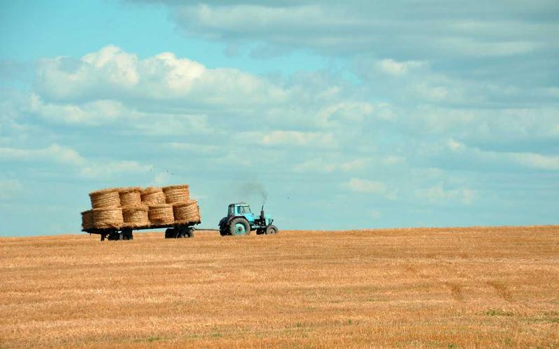 保姆级教程超大流量卡免费领取 | 副业变现+案例拆解 4626-创新研习社