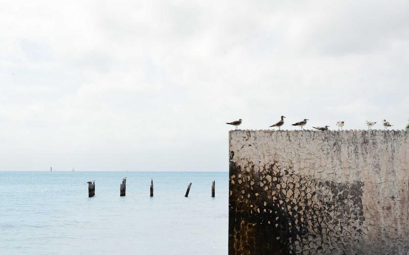 新手入门PPT模板 | 素材收集+高效整理 6737-创新研习社