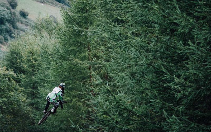 实战指南免费追剧影视神器 | 跨平台应用+场景拓展 1589-创新研习社