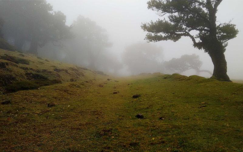 零基础学PPT模板 | 工具推荐+资源分享 8169-创新研习社