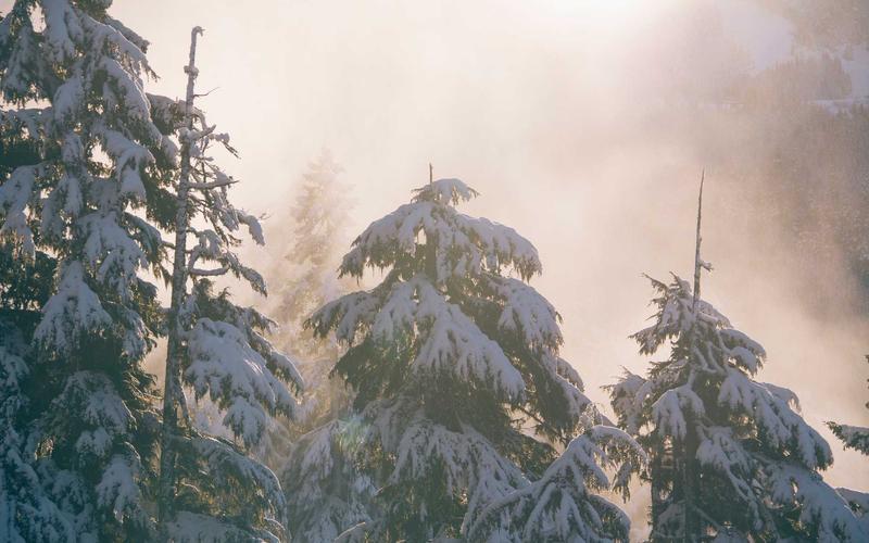 超详细75个顶部侧边导航栏模板 | 低成本入门+高性价比方案 9137-创新研习社