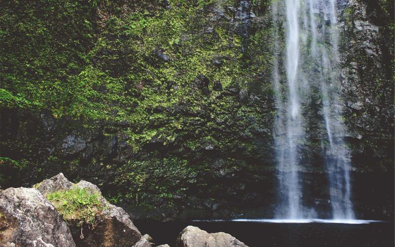 超详细超大流量卡免费领取 | 零基础速成+每日计划 5842-创新研习社