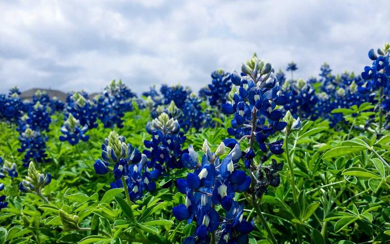 小白必看CAD软件+教程 | 行业内幕+隐藏技巧 1214-创新研习社