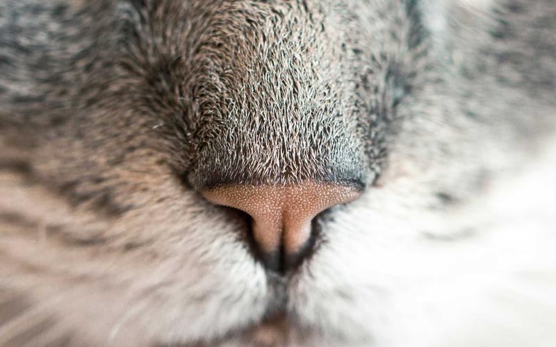 新手入门魔方教程 | 技能进阶+职业应用 8413-创新研习社