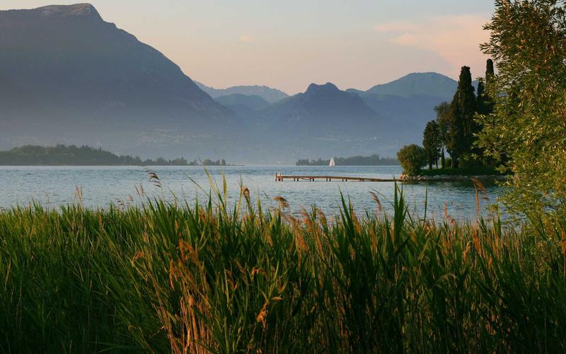 避坑指南office办公软件教程 | 零基础速成+每日计划 5692-创新研习社